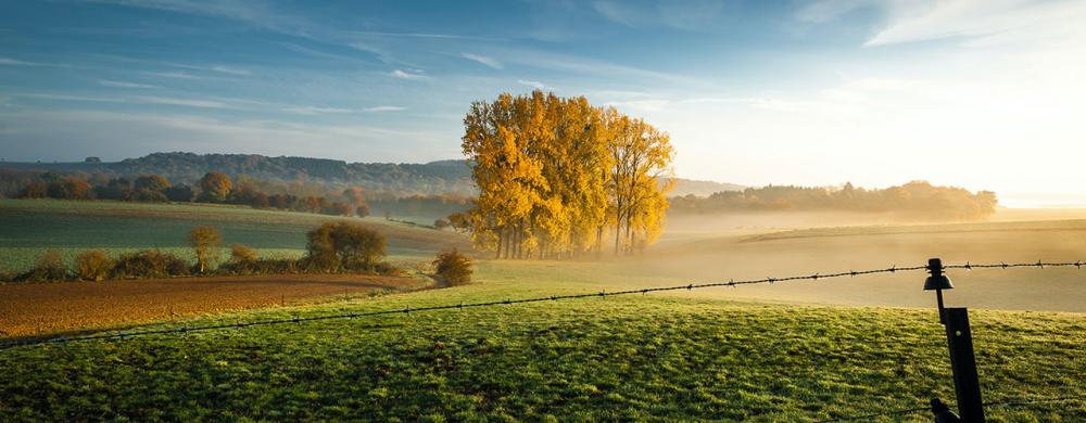 Le bail à ferme